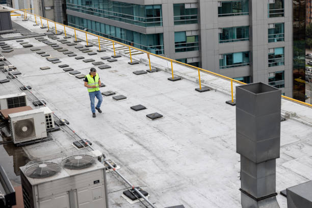 Best Skylight Installation and Repair  in Mclouth, KS